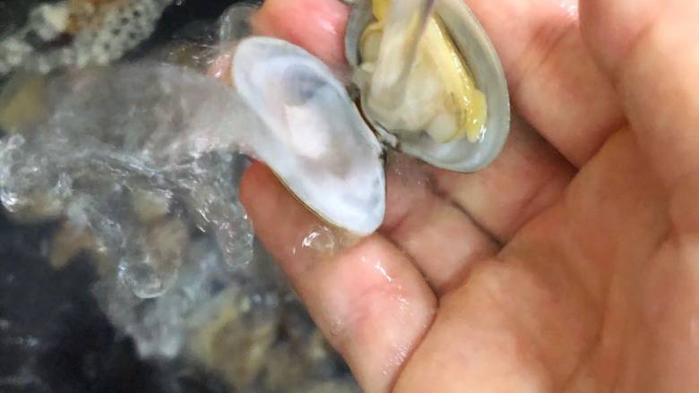 凉拌花甲,洗干净,水沥干放入盆中