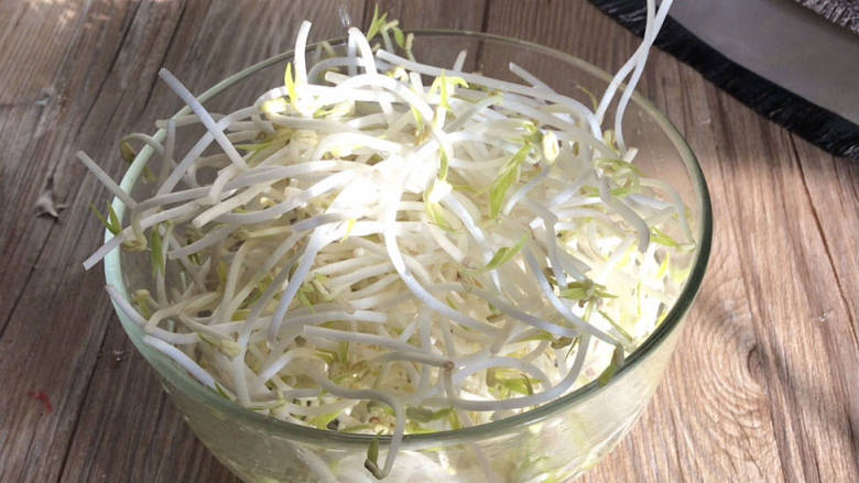 韭菜豆芽炒粉丝,豆芽摘洗干净,沥水备用