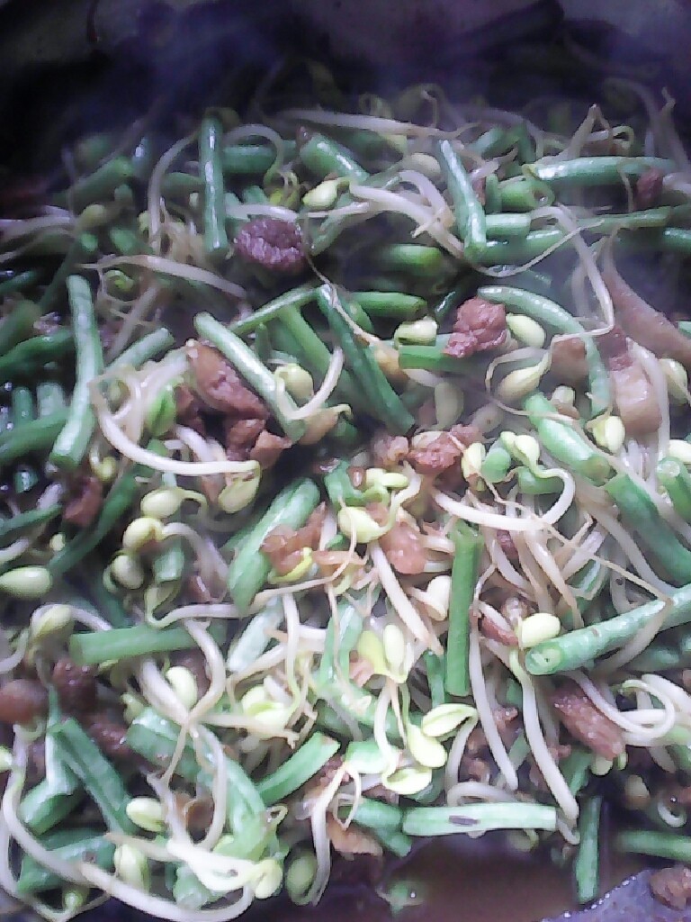 肉丝豆豆菜（豆芽豆角）