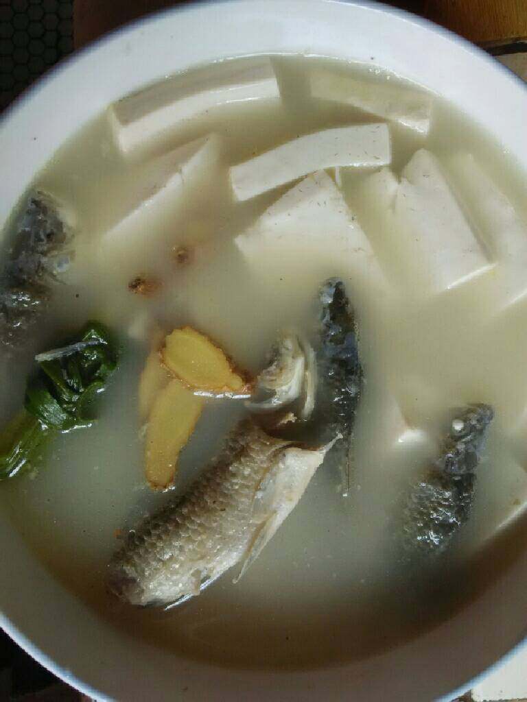 高钙豆腐鲫鱼汤
