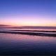 大米小米家