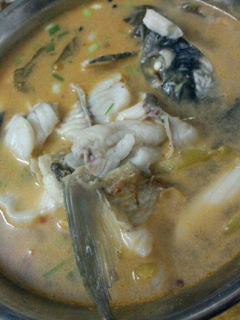 酸菜滚鱼汤