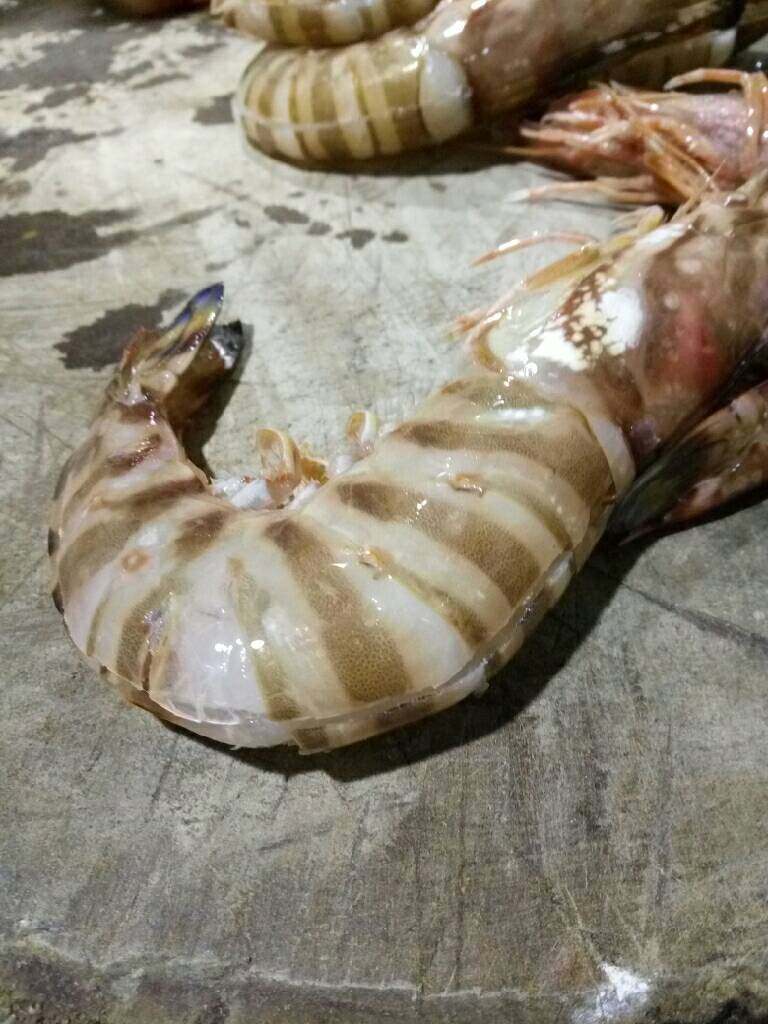 蒜蓉大虾,大虾开背,头尾相连不能断开哦