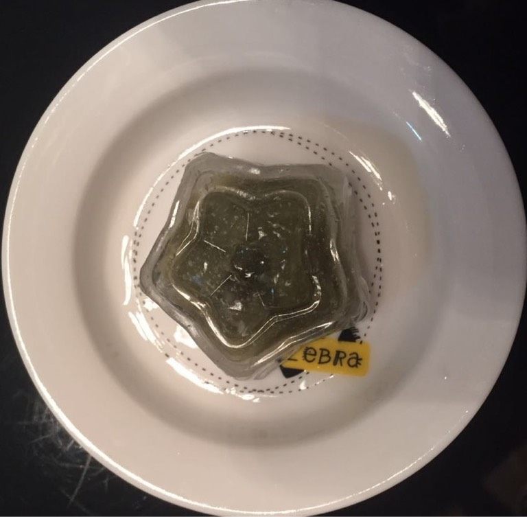 水晶月饼