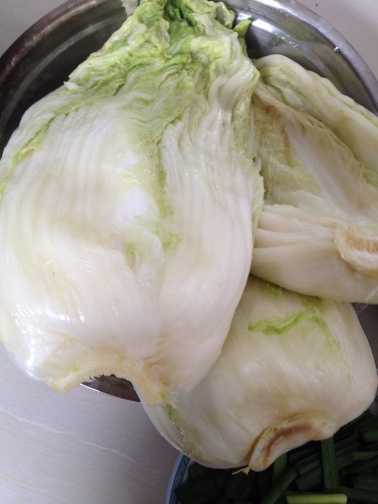 辣白菜,腌制好的白菜，挤干水份备用