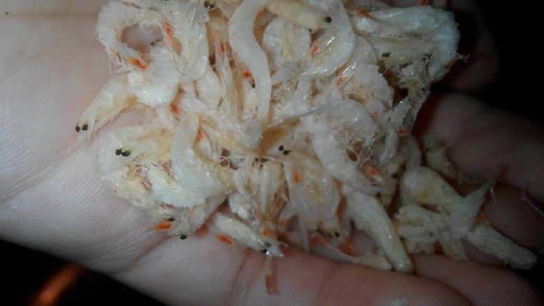 金沙河面片汤,油热放<a style='color:red;display:inline-block;' href='/shicai/ 288'>虾皮</a>过油炒