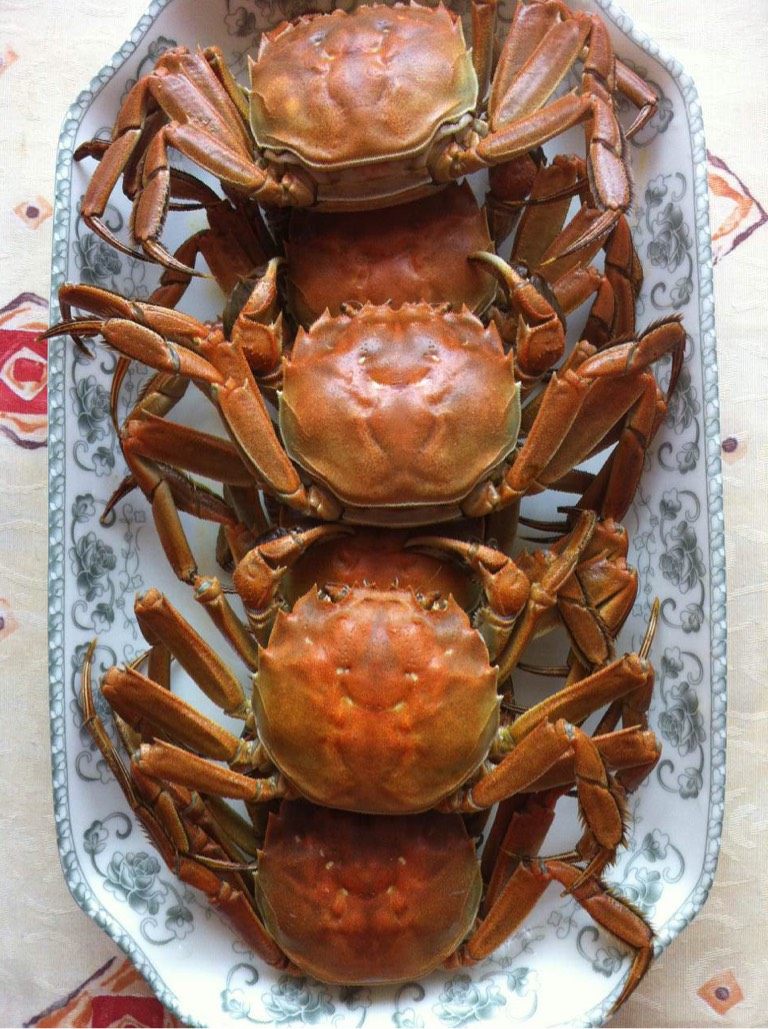 清蒸大闸蟹