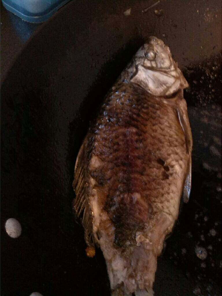 ≈海带豆腐鲫鱼汤≈,煎至表面金黄，捞出备用