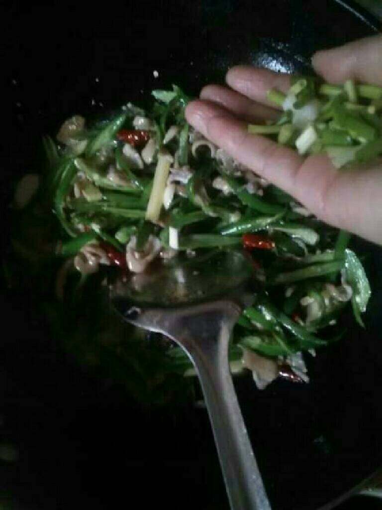 青椒炒肥肠,放入葱花