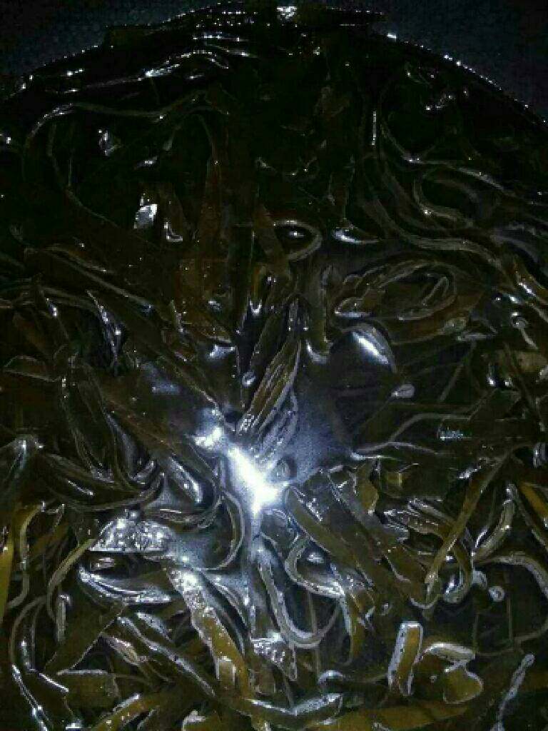 凉拌海带丝,锅里加入水，放入海带丝

