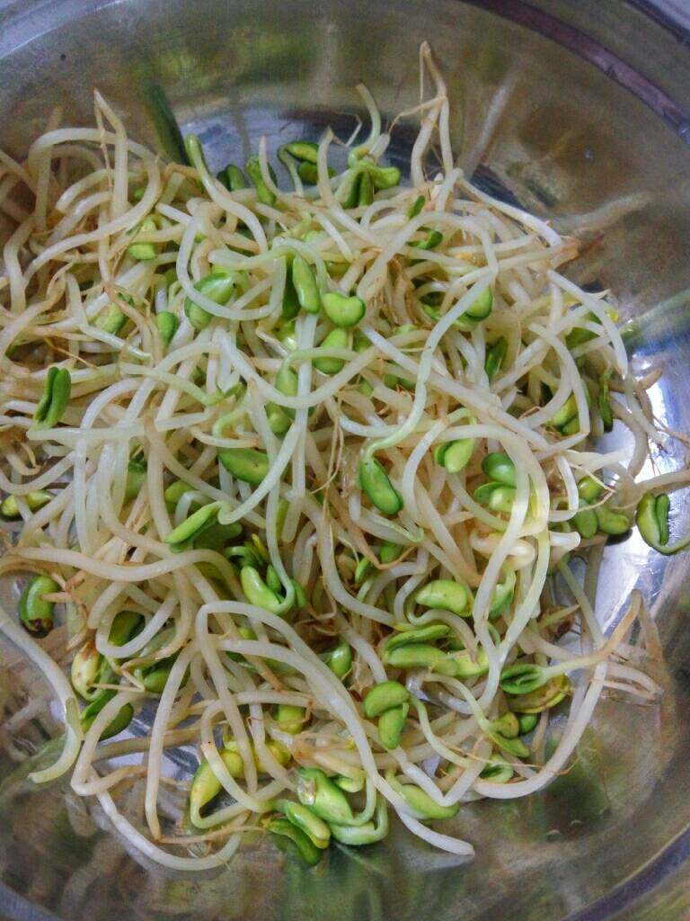 水煮肉片,<a style='color:red;display:inline-block;' href='/shicai/ 120'>豆芽</a>放入锅中干煸至熟