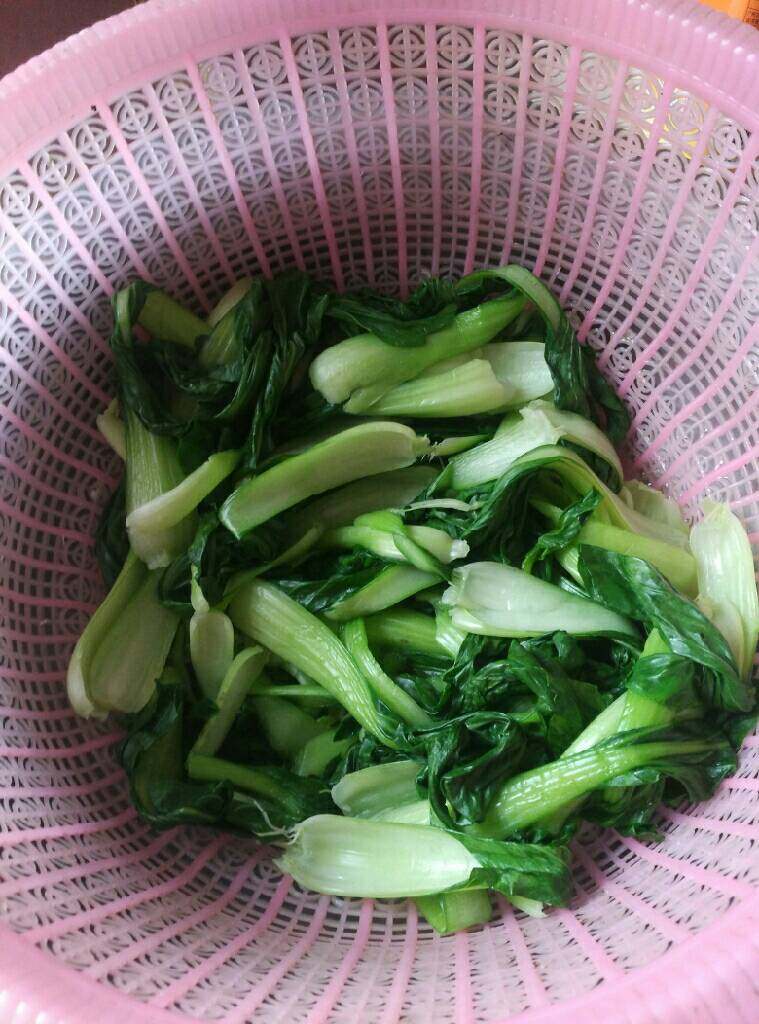 青菜豆腐包子,<a style='color:red;display:inline-block;' href='/shicai/ 3517'>青菜</a>洗干净,入锅开水略烫后冲凉沥水切成细沫加点盐,使其自行出水,之后倒掉水分备用!