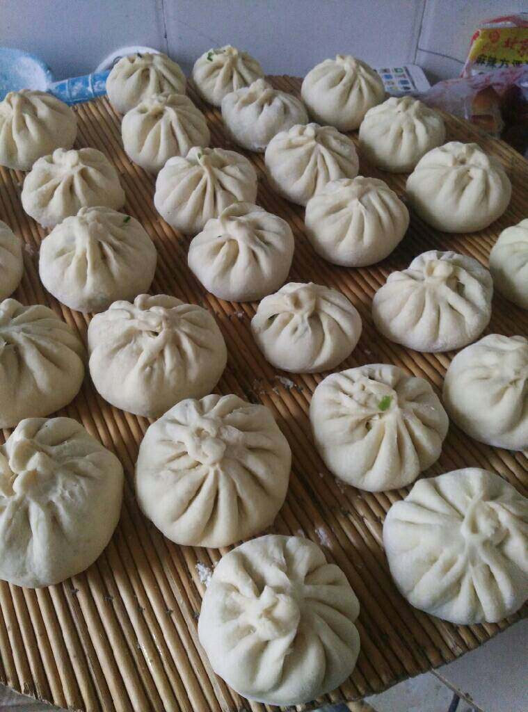 青菜豆腐包子,包进馅子,右手拇指,食指捏住面皮边缘打褶,直到收口捏拢封口,褶纹朝上即成生花!做好的包子要搁置10--15分钟,叫做醒面!等会再蒸!!