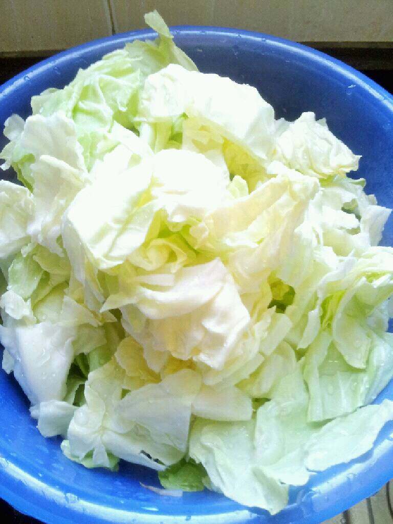 手撕包菜,<a style='color:red;display:inline-block;' href='/shicai/ 3511'>包菜</a>洗干净，用手撕成小片