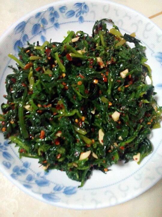 芹菜叶