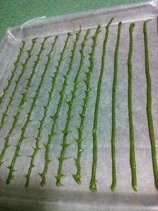 抹茶海绵肉松卷,在烤盘上挤出平行的线条,然后用牙签左右画出痕迹,放进冰箱冷冻室凝固备用;