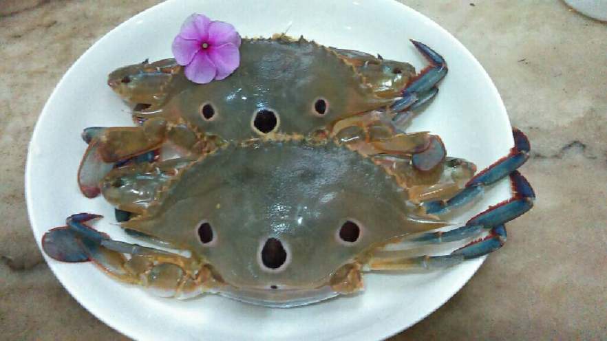 姜葱蟹