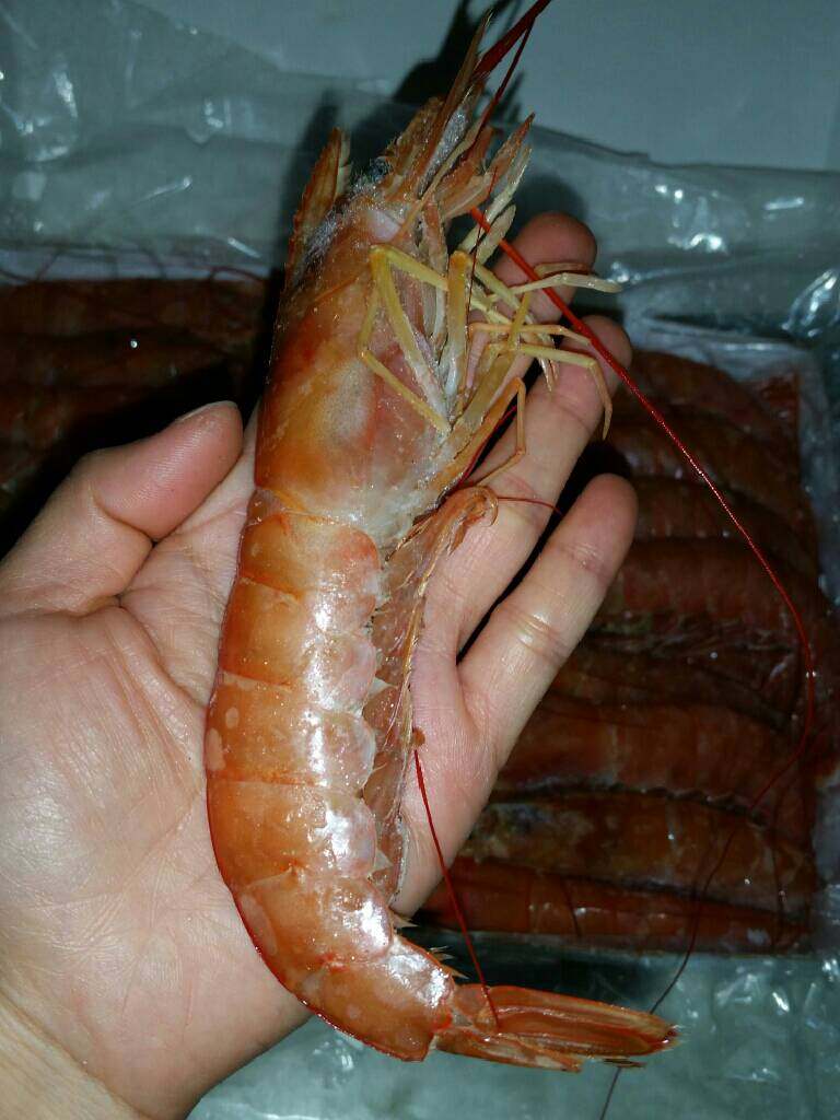 油焖阿根廷红虾,简单冲洗，挑去虾线。