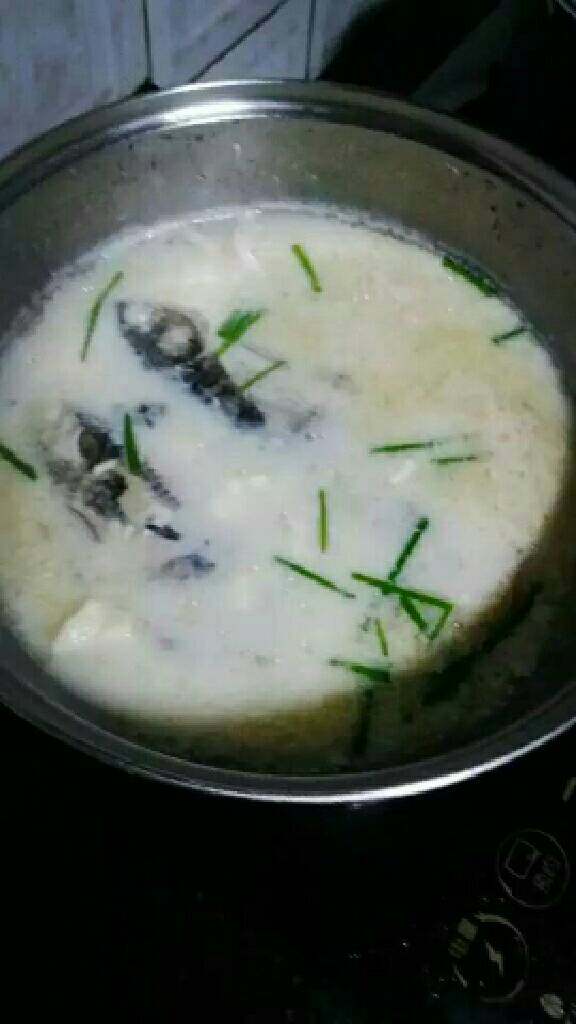 豆腐野生鲫鱼汤