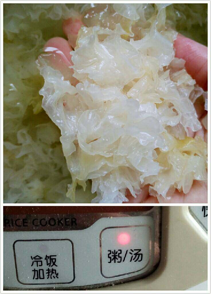 牛奶椰浆桃胶银耳羹,银耳提前15分钟泡发,泡开后去根,撕碎,入电饭煲粥汤键,加适量水平银耳,不要太多以免影响稠度,太少则易烧糊