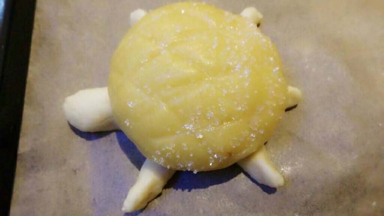 小乌龟菠萝包,将乌龟头腿和尾巴搓好后压在菠萝包下面,稍作整形即可。