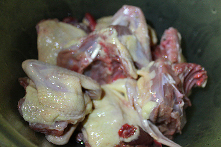 西洋参黄芪乳鸽汤,<a style='color:red;display:inline-block;' href='/shicai/ 5269'>乳鸽</a>清洗后斩块，飞水后清洗备用