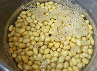 苦瓜排骨汤,<a style='color:red;display:inline-block;' href='/shicai/ 3603'>黄豆</a>洗净后预先浸泡2小时