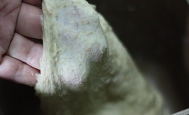 全麦养生软欧包,再按一次和面程序,工作15分钟,面团呈扩展状态。
