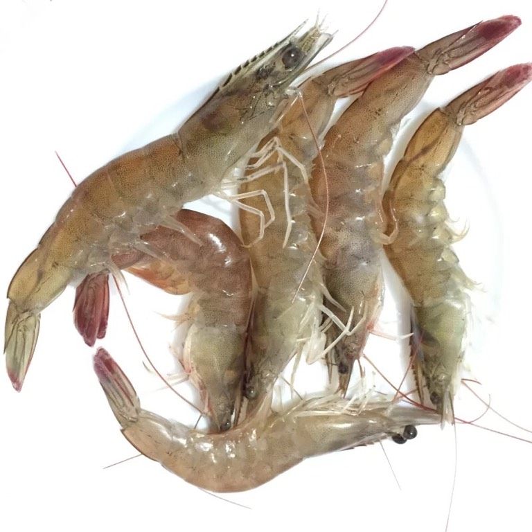 石锅拌饭,如图新鲜的大<a style='color:red;display:inline-block;' href='/shicai/ 300'>虾</a>洗净去<a style='color:red;display:inline-block;' href='/shicai/ 300'>虾</a>线（可以去掉<a style='color:red;display:inline-block;' href='/shicai/ 300'>虾</a>脚，<a style='color:red;display:inline-block;' href='/shicai/ 300'>虾</a>钳，<a style='color:red;display:inline-block;' href='/shicai/ 300'>虾</a>须）