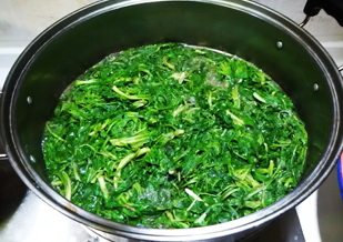 荠菜包子,用水焯烫一下荠菜,焯好后立即放入冷水中。