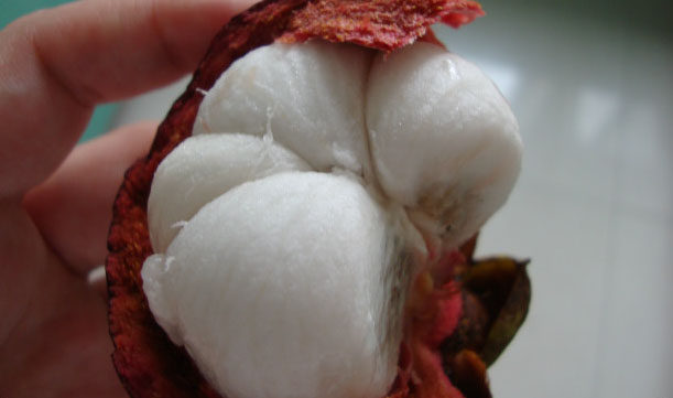 水果沙拉配果味糖浆 ,<a style='color:red;display:inline-block;' href='/shicai/ 596'>猕猴桃</a>去皮切块，<a style='color:red;display:inline-block;' href='/shicai/ 643'>山竹</a>取果肉