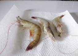 盐焗虾,将清理好大虾,用吸油纸吸干水分。