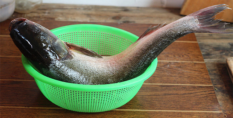 灶头家常红烧鱼,把鱼片剔下来，用盐和料酒腌制15分钟左右。