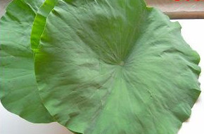 荷叶蒸鸡,鲜<a style='color:red;display:inline-block;' href='/shicai/ 3165'>荷叶</a>数张,洗净备用;