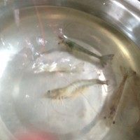 啤酒桑拿虾,活虾泡在水里,待用,姜切片