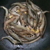 啤酒桑拿虾,上锅蒸,放上姜片,由于我的虾是活的放进去还在跳,小心跳出锅外