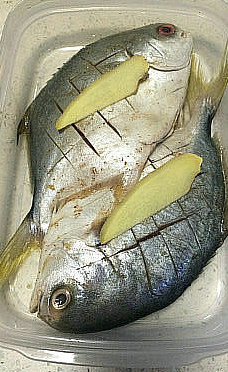 香辣金边肉鲳 ,加入<a style='color:red;display:inline-block;' href='/shicai/ 37'>姜</a>片,放入保鲜盒冷藏腌制一个上午