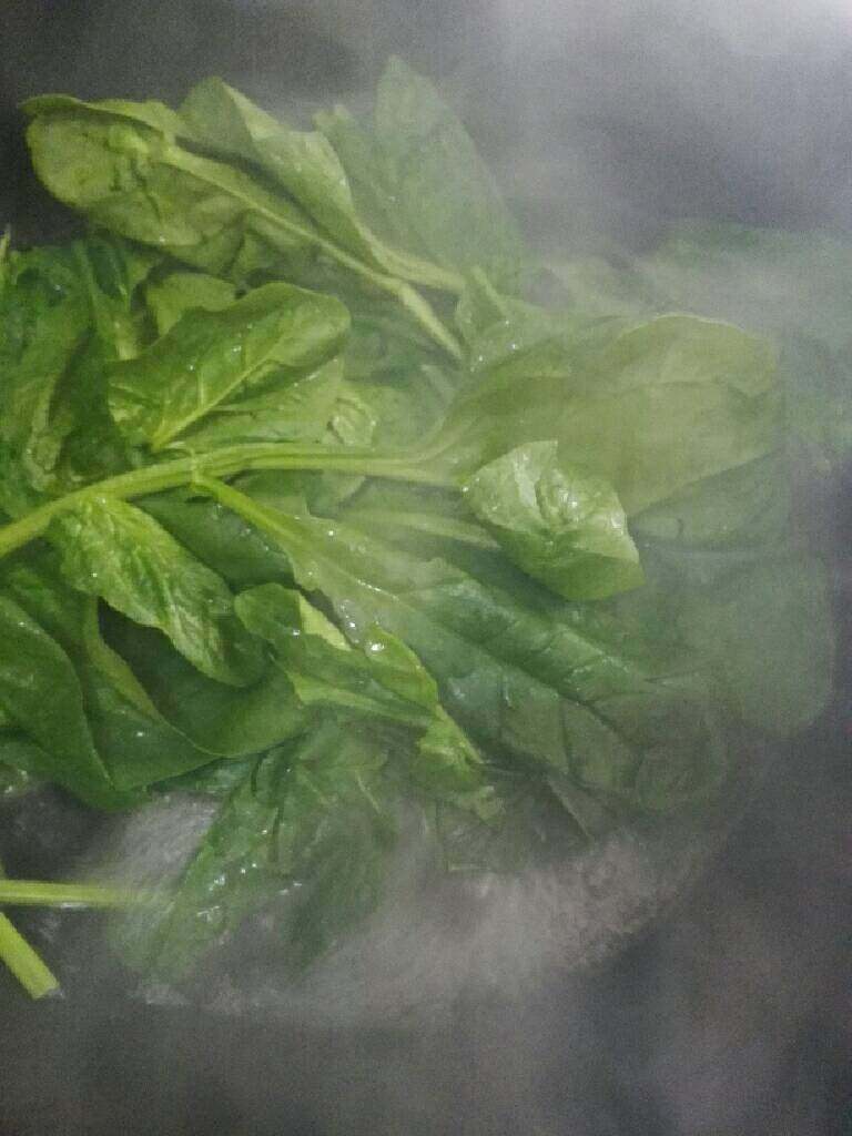 翡翠饺子,菠菜叶洗净,锅加清水烧开焯水捞出过冷水。