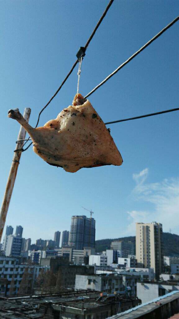 ≈自制咸鸭腿≈,接着把鸭腿挂到有阳光的地方,晾晒风吹一星期即可