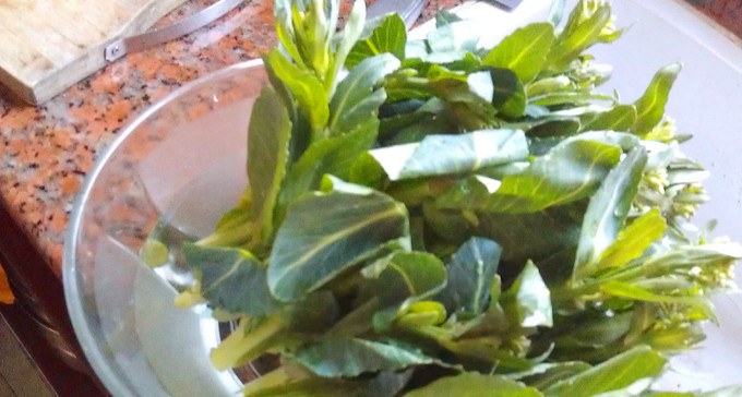 蒜香油菜心,<a style='color:red;display:inline-block;' href='/shicai/ 2864'>油菜心</a>洗净,最好是先放在淡盐水中浸泡30分钟
