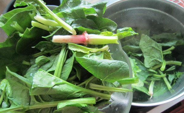 菠菜猪肝汤,水中放适量油烧开,把菠菜下锅焯水