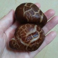鱼头汤,冬菇我隔夜泡软,洗净挤干水切片备用