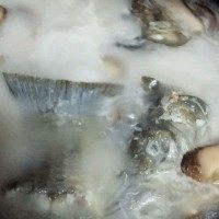 鱼头汤,煎好的鱼放凉后加入适量清水和姜片,还有香菇片,翻滚吧,大火,汤汁才白。至少15分钟