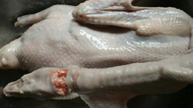 广东鹅腊味饭,<a style='color:red;display:inline-block;' href='/shicai/ 4746'>鹅</a>去毛洗干净。