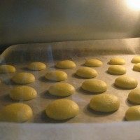 蛋黄饼干,烤盘垫油纸,不沾烤盘也垫,将面糊挤在烤盘上,成大约2cm的圆。