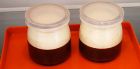 巧克力牛奶双色布丁,将牛奶布丁液倒入瓶中，放入冰箱冷藏1小时，完全凝固后取出，装饰水果或果酱即可食用。