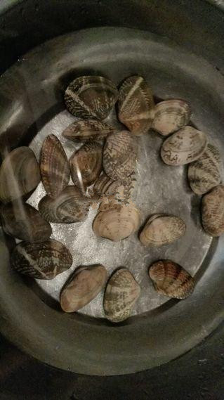 蒜香烤花蛤,<a style='color:red;display:inline-block;' href='/shicai/ 1816'>花蛤</a>洗干净,泡盐水20分钟,然后再冲一下;