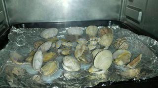 蒜香烤花蛤,花蛤全张开,取出来(烤箱不用关);