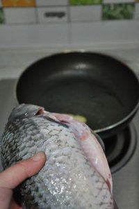 木瓜鲫鱼火锅,煎锅加油爆香至香,再将鲫鱼下锅。
