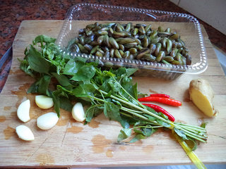 九层塔炒薄壳,准备食材(<a style='color:red;display:inline-block;' href='/shicai/ 1787'>薄壳</a>在制作前用清水浸泡1小时,期间更换两次清水)